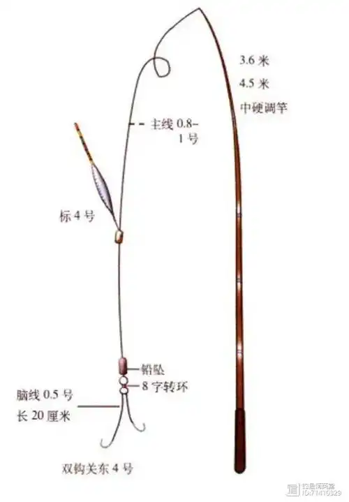 这种颜色艳丽的小鱼叫溪哥该如何垂钓说说我的经验