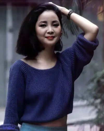 邓丽君各个时期的高清图片