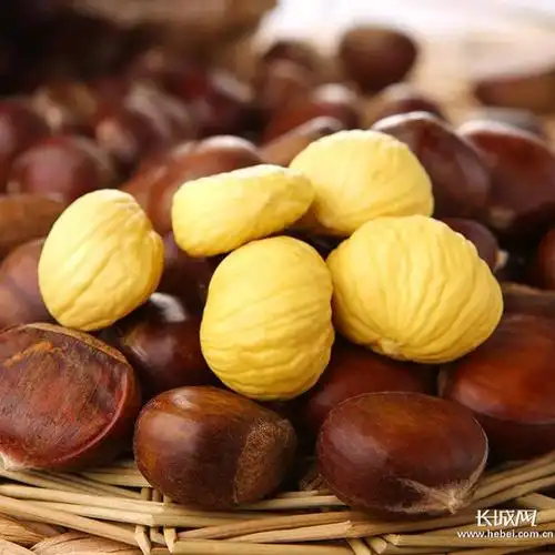 个头玲珑,色泽光鲜的迁西板栗.河北省农业农村厅供图