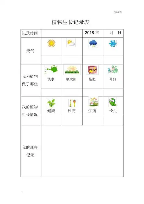 植物观察记录表模板