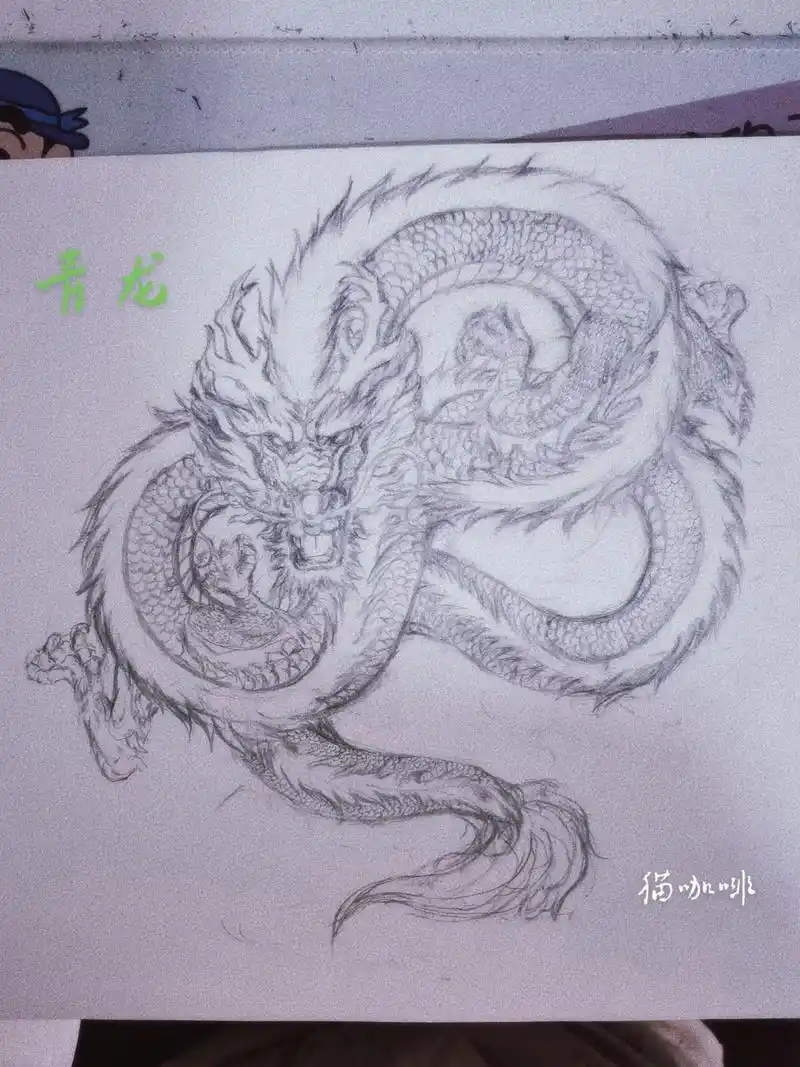 以前的自创四大神兽草稿给大家分享一下#临摹 #手绘 #自学画 - 抖音