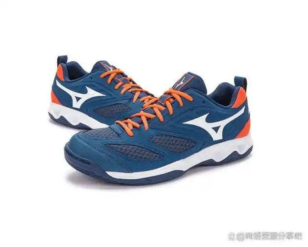 是世界优质的运动器具,服装和鞋类生产品牌