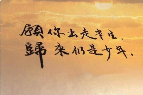 愿你出走半生归来仍是少年是什么意思愿你走出半生归来仍是少年