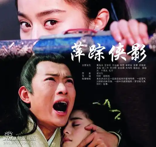 图为电视剧《萍踪侠影》海报