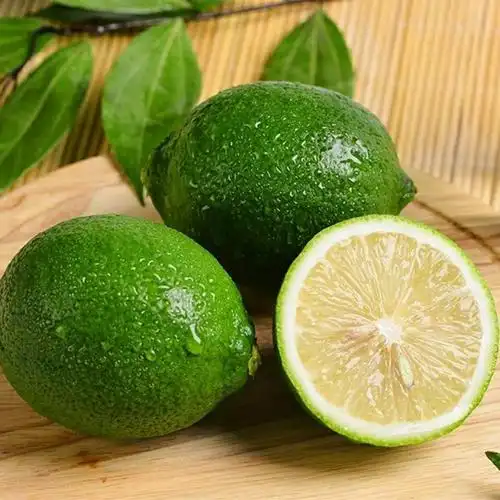 新鲜现摘青柠檬新鲜青柠檬孕妇水果应季水果柠檬批发1斤5斤包邮老刘家