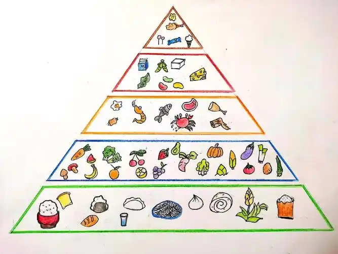 手绘食物金字塔