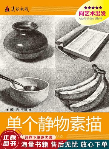 美院快线 向艺术出发--单个静物素描