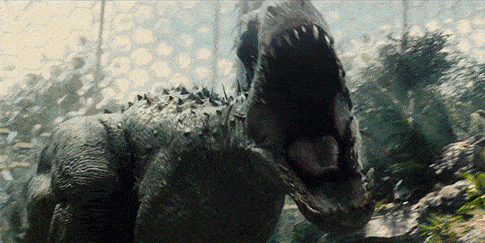 485_243gif 动态图 动图