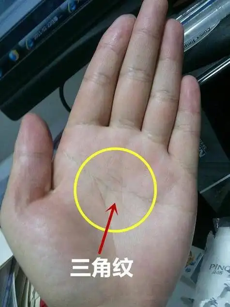 智慧线上有三角纹代表着什么 三角纹压在智慧线上