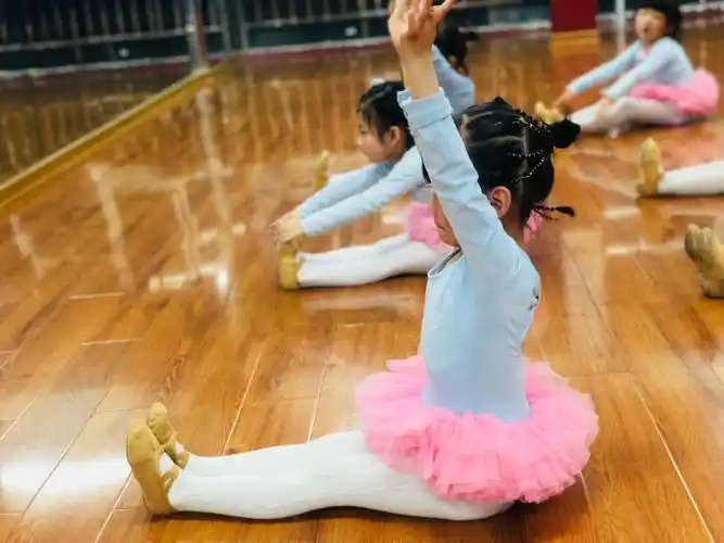 其它 【星天地舞校】1902班 写美篇每一支华丽的舞蹈,都来自无数次的