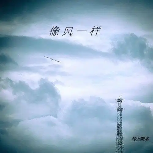 像风一样coverby踏踏张锦奕