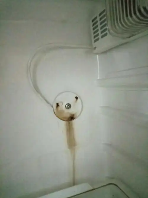 容声老冰箱恒温室温度低是什么东西坏了?有图