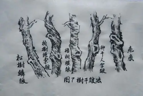 其它 叶逵钧自说自画论山水(一)画树篇 写美篇画树篇7.   树干皴法