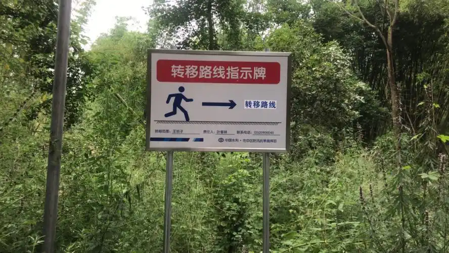 大佛街道青衣坝村转移线路指示牌