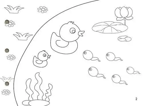 小蝌蚪找妈妈简笔画现货 自制手工绘本小蝌蚪找妈妈适合幼儿园亲子