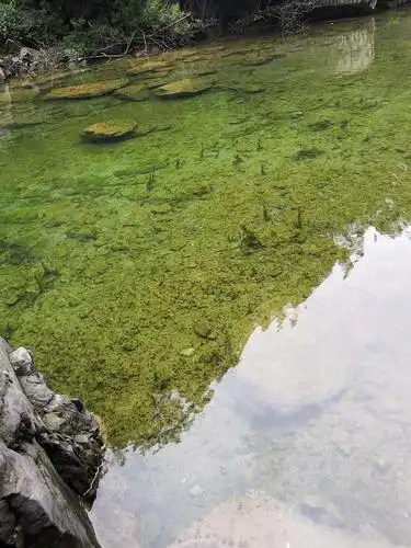 秋水伊人的美篇