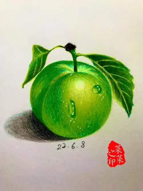 彩铅水果练习李子