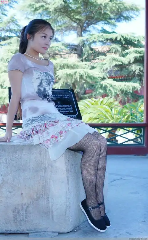 【转载】布鞋美图01086