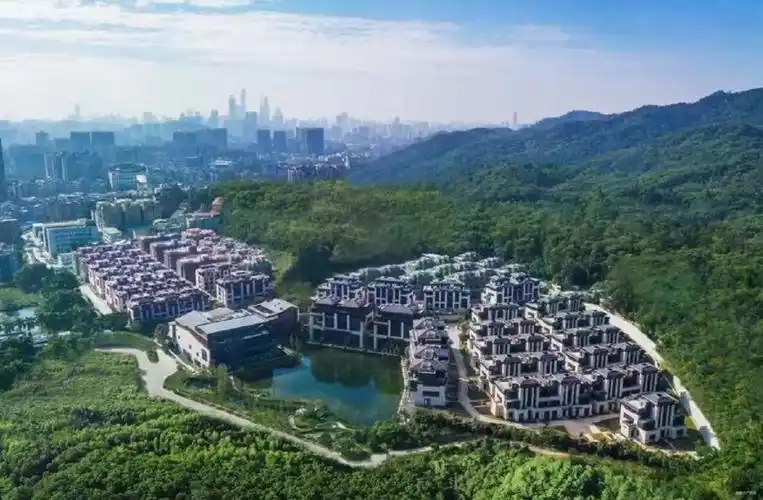 白云山顶豪华远大一山庄高管内传单位出则繁华入则宁静