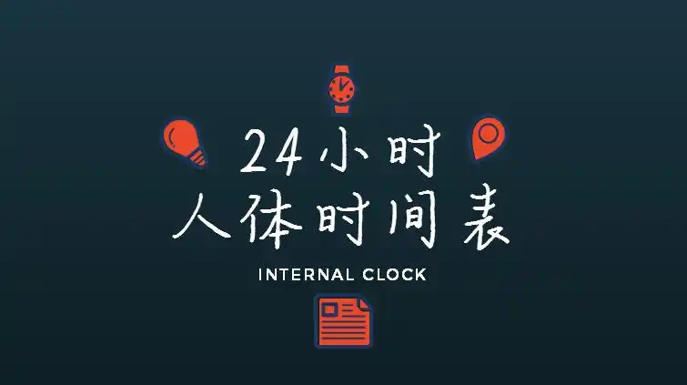 呼吸以及血糖,激素分泌,也都像是被一个时钟控制着,这就是"生物钟"