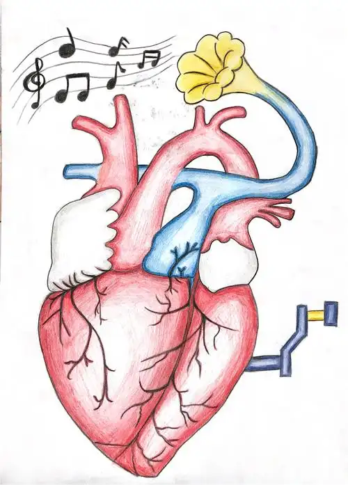 提升学生对解剖学习的兴趣,由长治卫校基础教研室解剖教学组主办,绘画