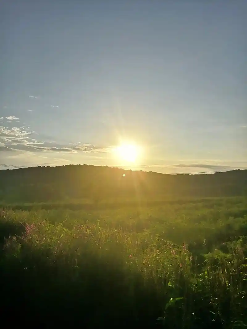 又有人会说,太刺眼.你看,太阳都 - 抖音