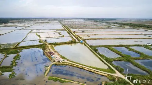 "虾到了"龙虾养殖基地