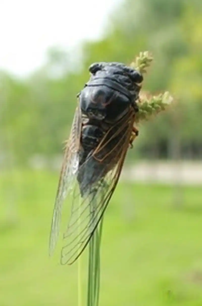 844_1280竖版 竖屏