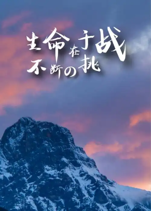 抒情奋斗励志的句子