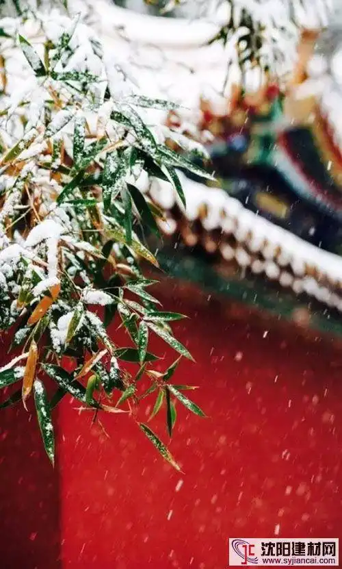 赛唯雅恒温花洒|多变的气温 不变的守候