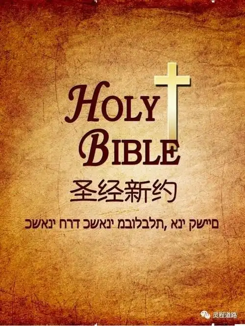 图解新约圣经