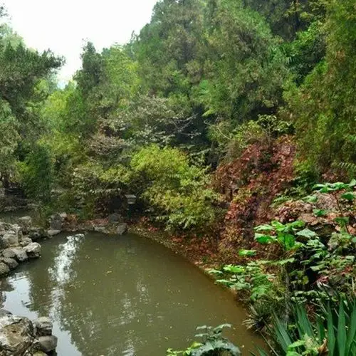 白园内主要景点有青谷