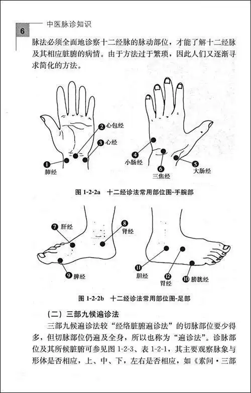 脉诊寸关尺中医脉诊的寸关尺是怎么判断的