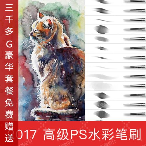 大神photoshop设计素材高端插画特价ps高端brush笔刷逼真水彩画笔