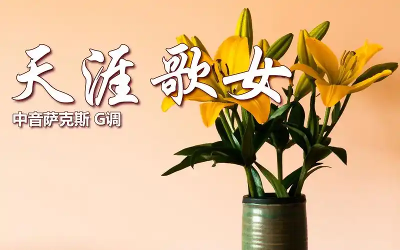 活动作品怀旧经典天涯歌女深情婉转美妙悠扬萨克斯好听别具韵味