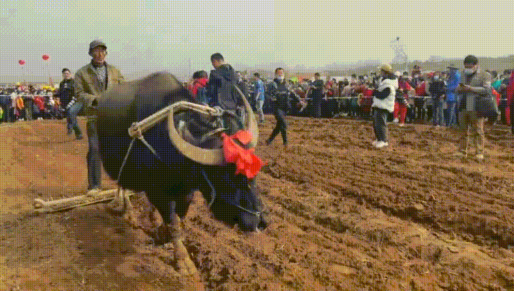 720_408gif 动态图 动图