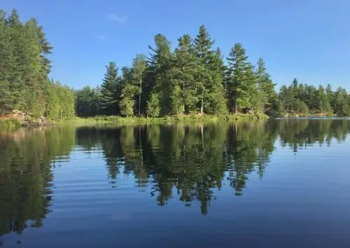 葱葱郁郁的树木倒影在水面
