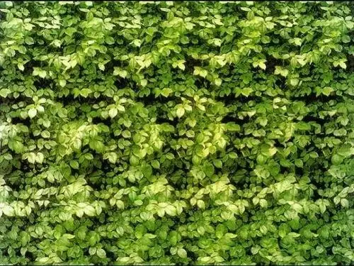 三维立体图片欣赏,盘点网络流传的3d立体图片合集-品索教育资讯