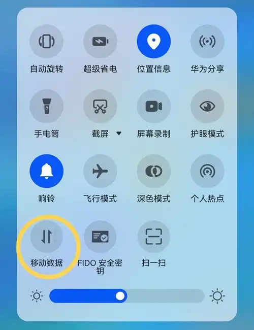 为什么有时候这个流量图标有两条杠