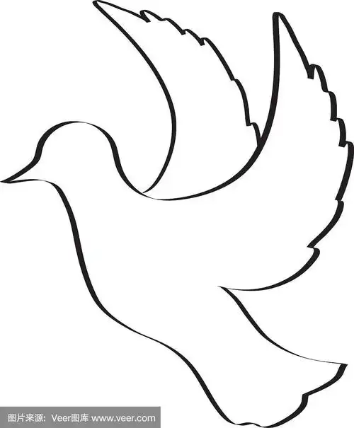 手画鸽鸟飞行素描