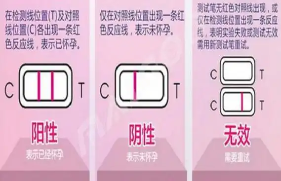 验孕棒测出来只有一条在c区的杠是怀孕了吗