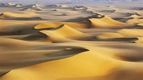 新月形沙丘图片