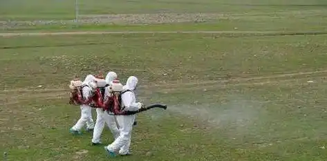 困扰印巴地区的蝗虫,为何不抓起来当猪饲料?还真不如养殖的蝗虫_蝗灾_