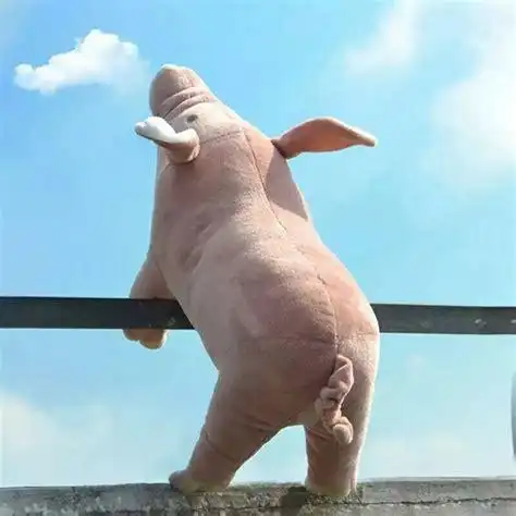 2020微信幽默句子 一