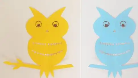 幼儿简单剪纸,用卡纸剪出猫头鹰,有教程