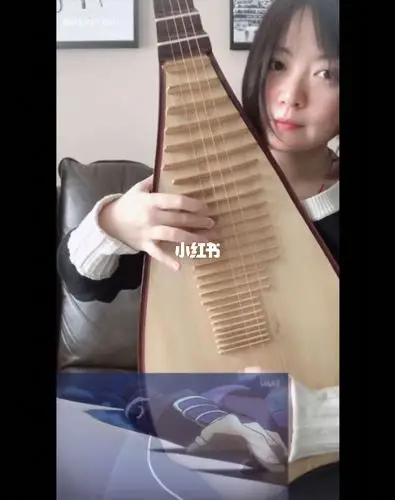 刺客伍六七第三季op 暗影刺客 琵琶翻奏_琵琶_刺客伍六七_阴影_红薯