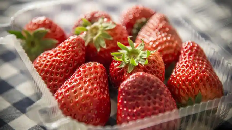 夏季哪些孕妈妈可以吃西瓜?哪些孕妈妈不能吃呢?