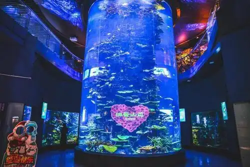 青岛文艺小众游攻略_海底世界