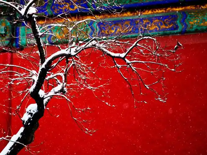 不在家里看春晚,咱来北京过大年!(地道京味儿体验)