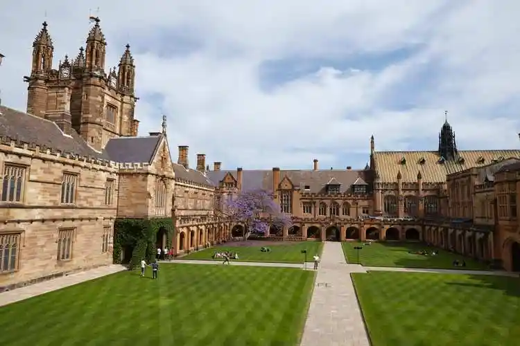 手机看项目收藏the university of sydney